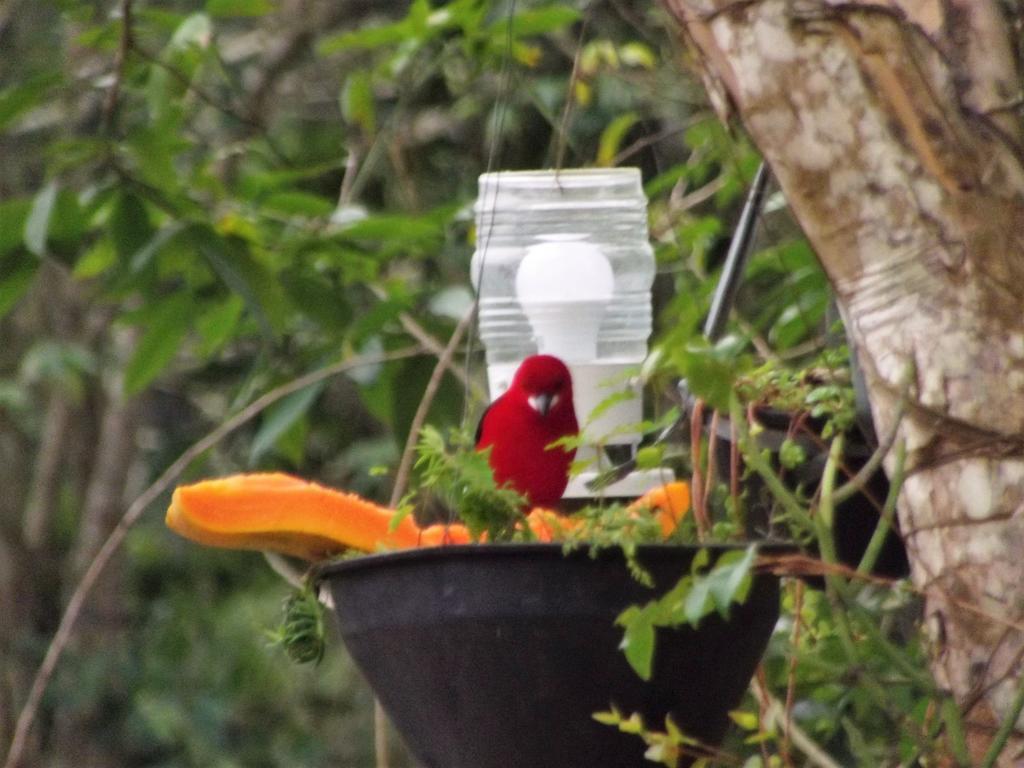 Pousada Miracolo Araquari Exteriér fotografie
