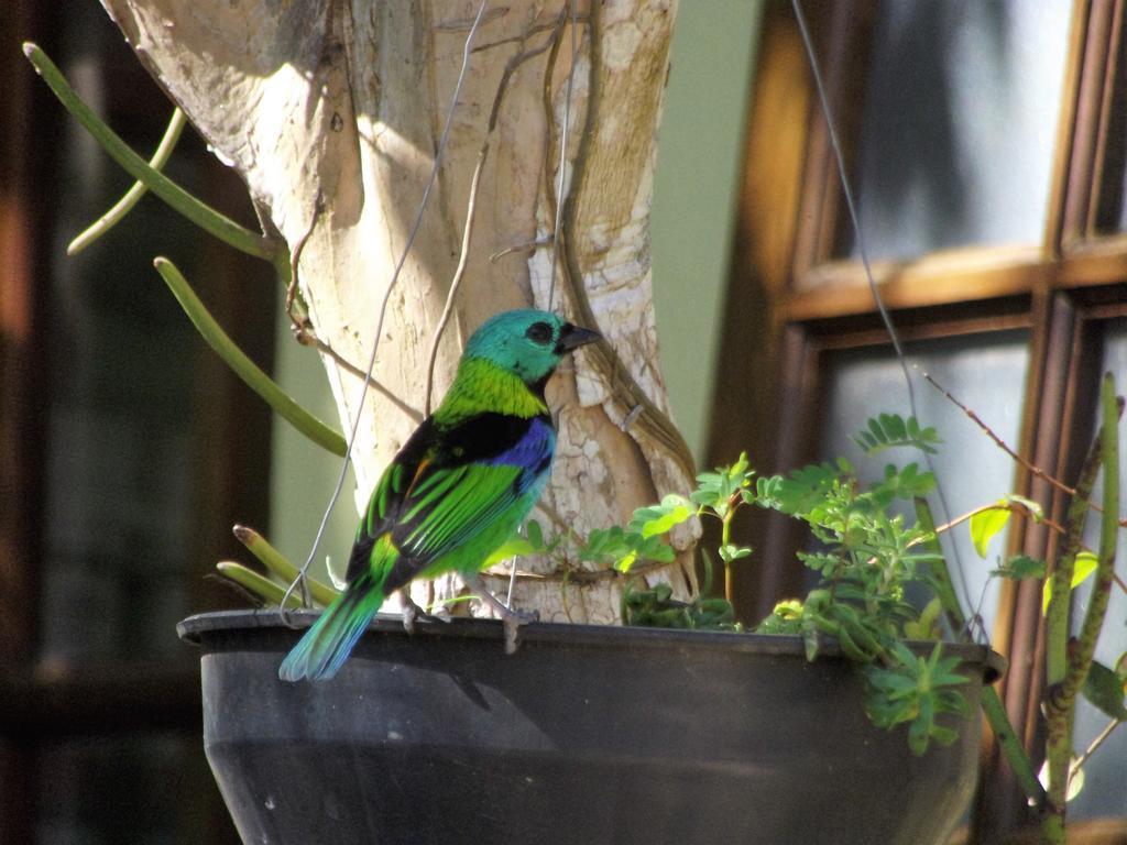 Pousada Miracolo Araquari Exteriér fotografie